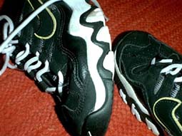 nikeskor.jpg (19756 bytes)